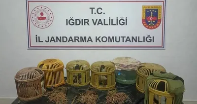 Kaçak avcılık yapanlara 175 bin lira ceza #igdir