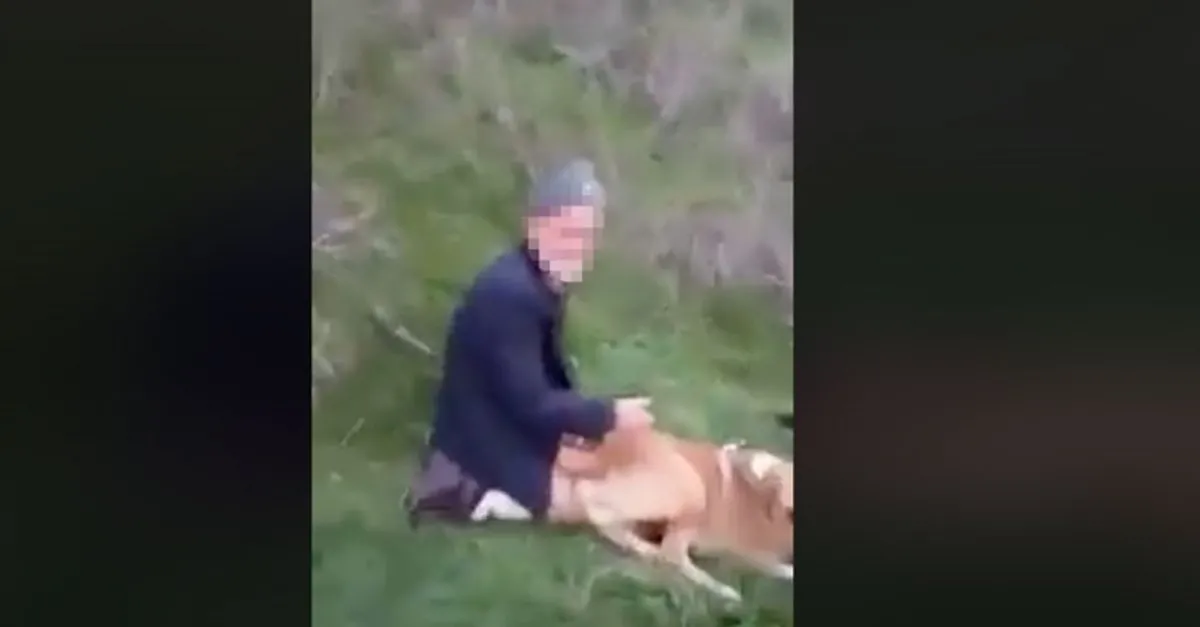 kopege tecavuz ederken yakalandi son dakika haberler