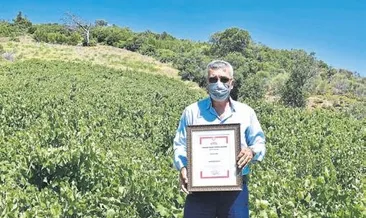 Karabağlar’da üzüm ile kalkınma planı