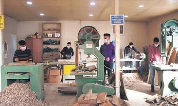 Kuruyan ceviz ağaçları usta ellerde