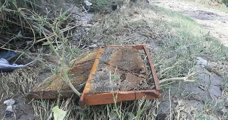 400 kovan arı sele kapıldı! Zarar 1 milyon lira