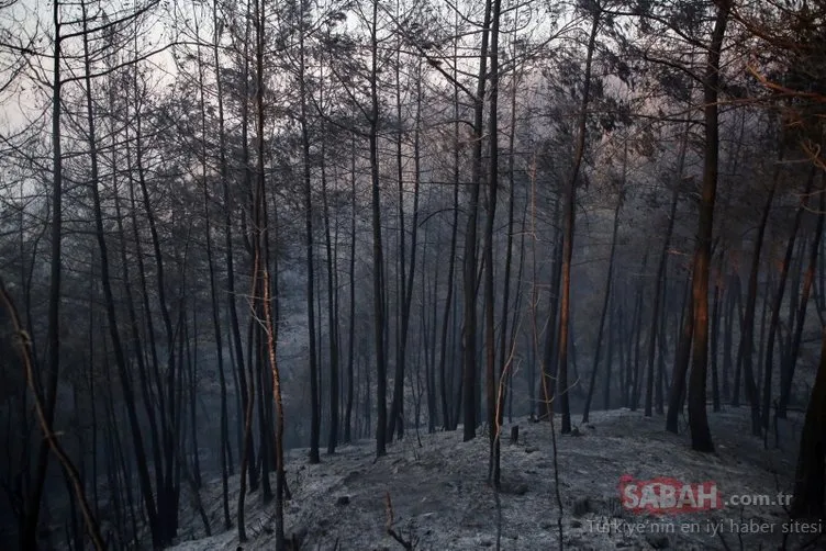 Adana Kozan’daki yangında 280 futbol sahası büyüklüğündeki orman ve tarla kül oldu