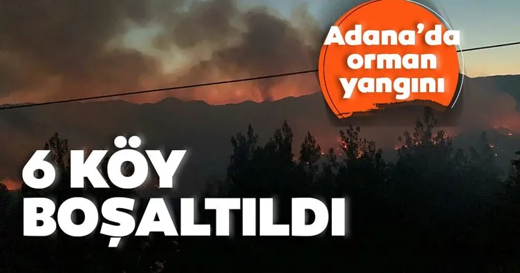 Adana’da orman yangını