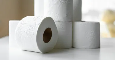 Neden her tuvalet kağıdında farklı desen var? Meğer sadece süs değilmiş!