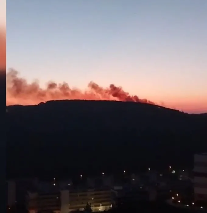 SON DAKİKA | İstanbul Maltepe’de orman yangını! Çok sayıda ekip sevk edildi: Kontrol altına alındı