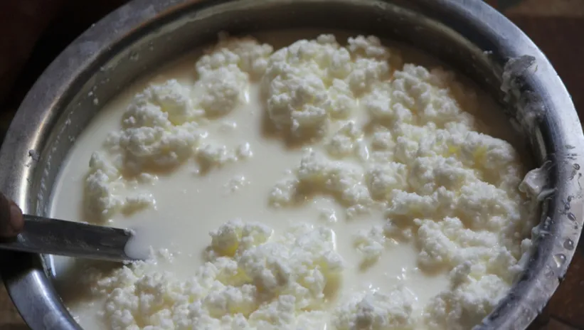 Diş çürümesine karşı doğal çözüm