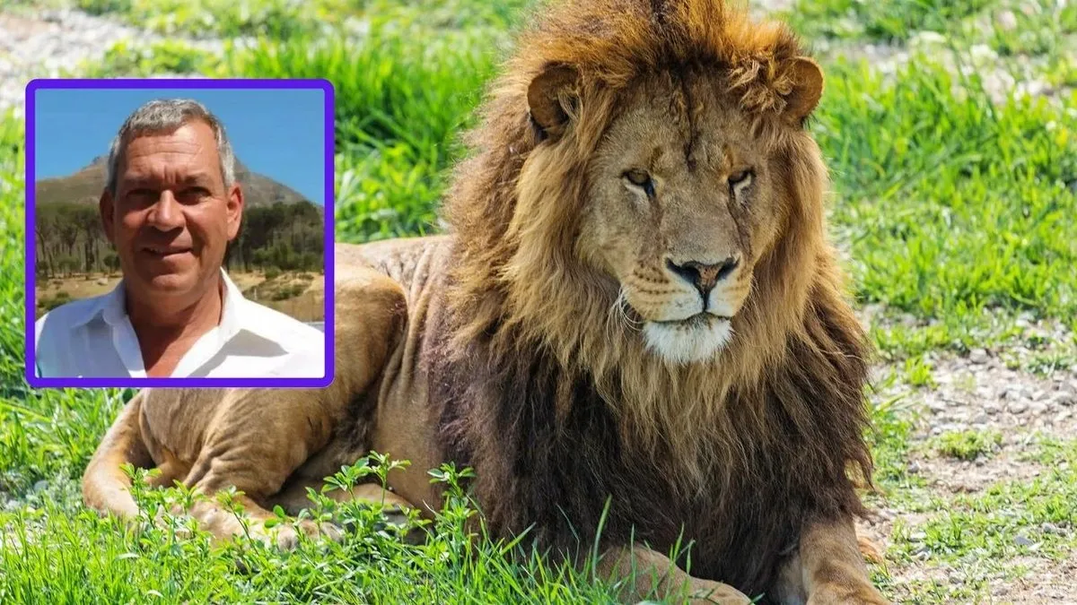 İşadamını aslan yedi İşadamını aslan yedi