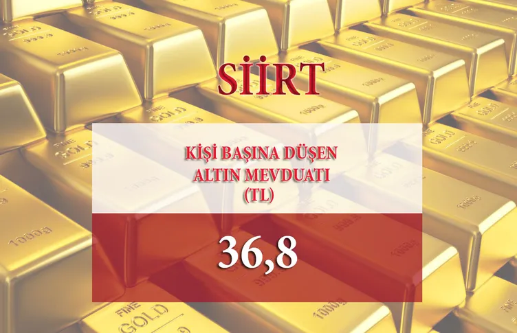 Türkiye'de altın en çok hangi şehirde var?