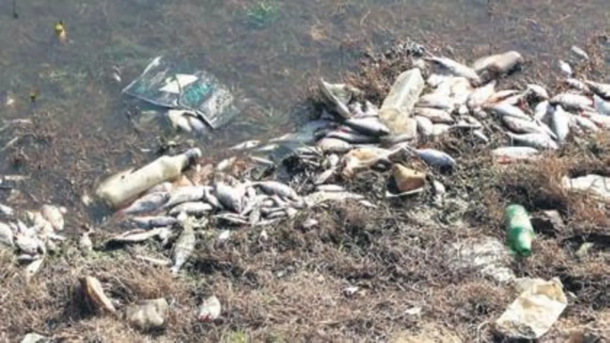 Çevreyi kirleten 9 şirkete ceza yağdı Çevreyi kirleten 9 şirkete ceza yağdı