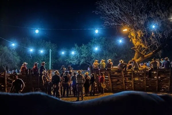 NG`den yılın en iyi fotoğrafları