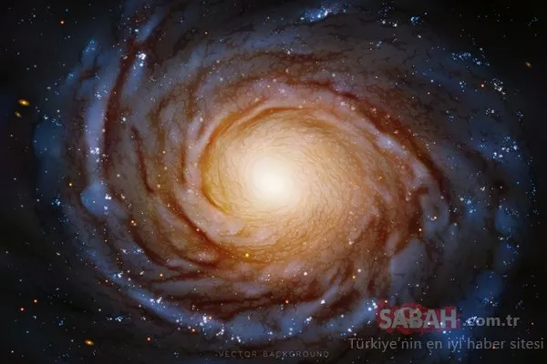 Bilim insanları büyük sırrı çözdü! Yıllar sonra cevap buldular