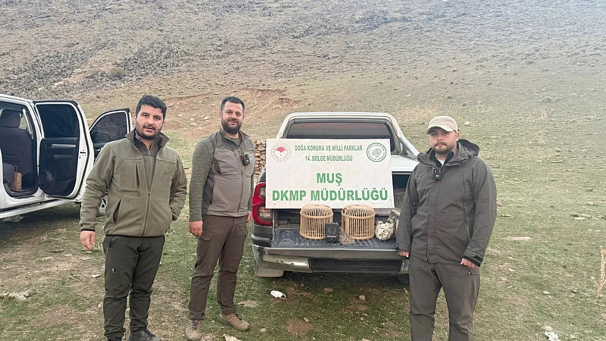 Muş’ta yasa dışı kafes avcılığı yapan kişiye suçüstü: İdari para cezası uygulandı! Muş’ta yasa dışı kafes avcılığı yapan kişiye suçüstü: İdari para cezası uygulandı!