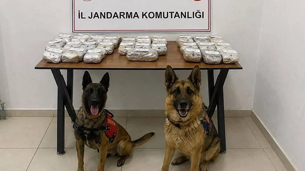 Hakkari’de 21 kilo 650 gram toz esrar ele geçirildi Hakkari’de 21 kilo 650 gram toz esrar ele geçirildi