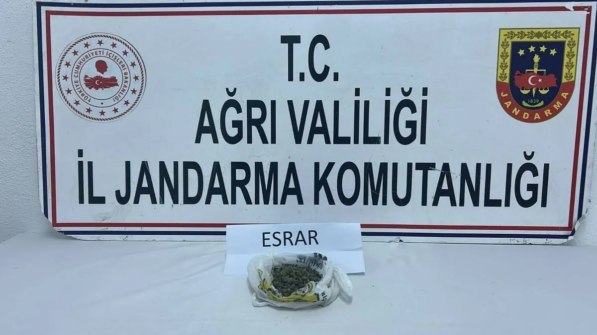 Patnos ve Doğubayazıt’ta uyuşturucu operasyonu! 2 şüpheli gözaltına alındı