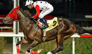 TJK’dan yabancı yarışlara yeni kanal