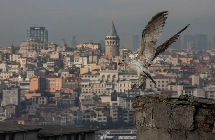 Gençlerin gözdesi ’Kubbe İstanbul’ mühürlendi