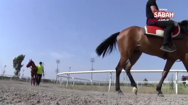 At yarışları ne zaman başlıyor? TJK tarih verdi: 2020 Gazi koşusu ve at yarışları ne zaman başlayacak? | Video