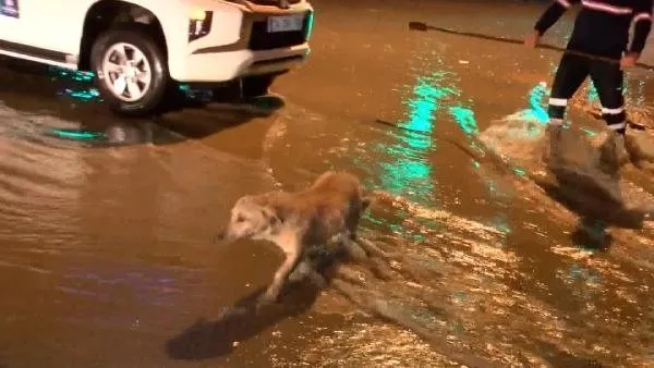 Son dakika: Meteoroloji'den İstanbul ve 6 il için turuncu, 15 ile sarı kodlu uyarı! Esenyurt'ta kuvvetli sağanak su baskınlarına neden oldu