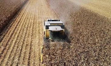 Tarım ÜFE yıllık yüzde 62,48 arttı