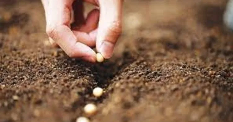 3.9 Milyon Dolarlık Tohum Sermayesi Yatırım Turunda Güçlerini Birleştiriyor