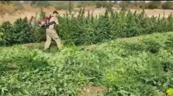 jandarmandan-zehir-tacirlerine-nefes-kesen-operasyon-70-tonluk-uyusturucu-uretimi-onlendi-1748497479852.jpg Bakan Yerlikaya açıkladı! Diyarbakır'da zehir tacirlerine İHA operasyonu: 7 gözaltı