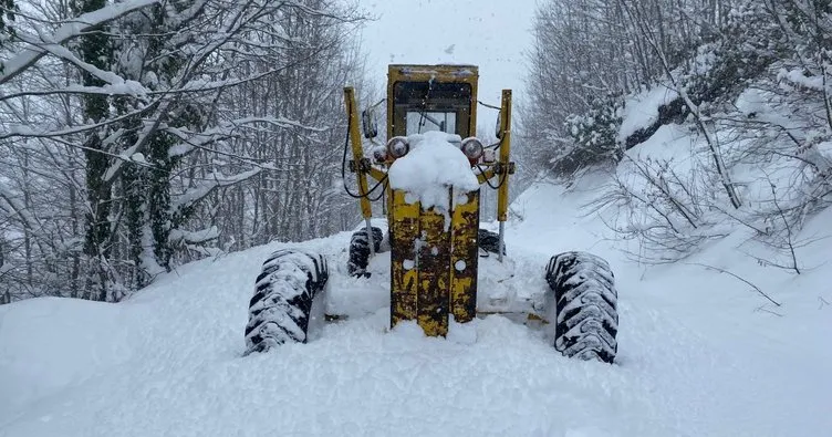 Yoğun kar 161 köy yolunu ulaşıma kapattı