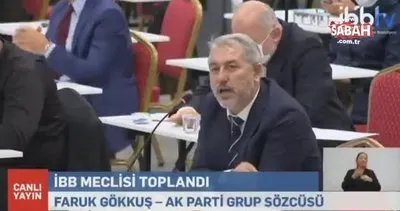 AK Partili İBB Meclis Üyesi Gökkuş: AK Parti Kürtçenin önünü açtı | Video