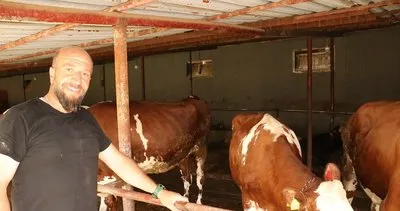 Kurbanlık alırken dikkat: Hayvanı mutlaka görerek alınız! #erzincan