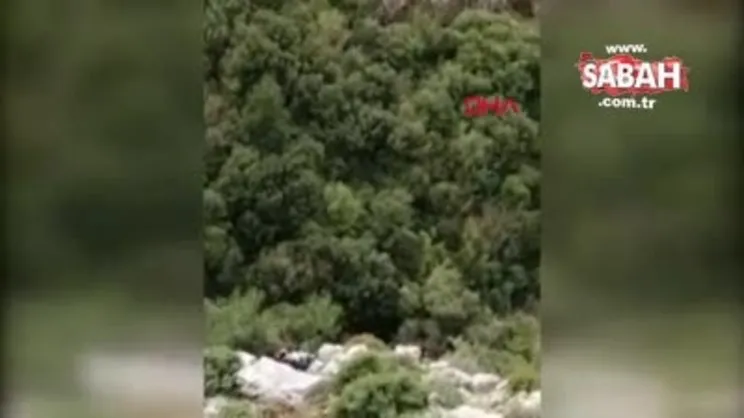 Kuşadası'nda kaybolan döviz bürosu çalışanının son görüntüleri ortaya çıktı | Video