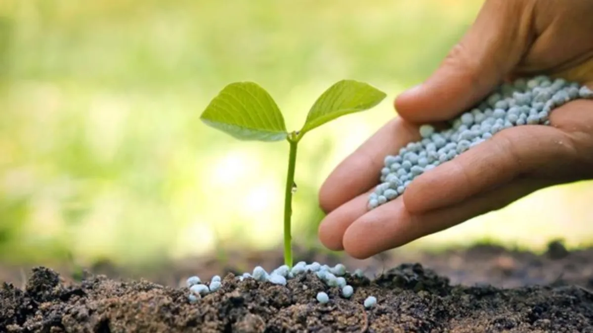 Gübre ham maddesi üre için ithalatta gümrük vergisi sıfırlandı Gübre ham maddesi üre için ithalatta gümrük vergisi sıfırlandı