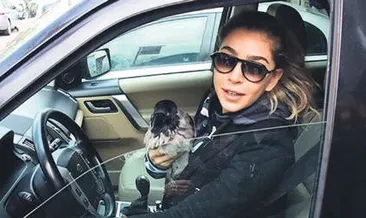 Karga stresten öldü