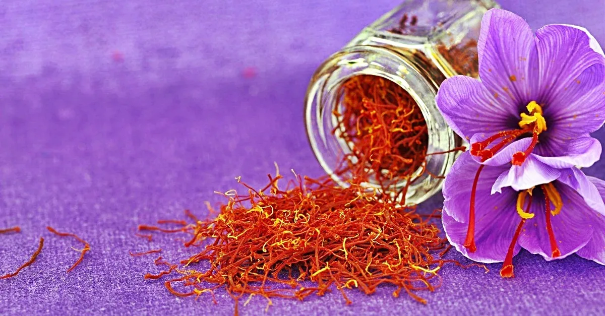 Safranin Kilosu Ne Kadar Safran Nedir 1 Kilo Safran Kac Tl Sayfa 3 Son Dakika Haberler