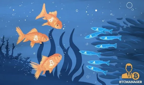 Ripple, Bitcoin'in tahtına göz dikti!