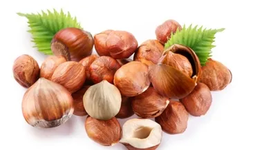 Çiğ fındığın faydaları nelerdir?