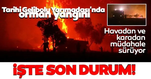 Tarihi Gelibolu Yarımadası'nda orman yangını! Havadan ve karadan müdahale sürüyor