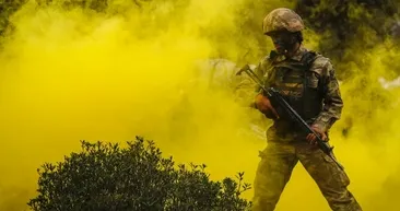 ’Dağların aslanları’ ansızın vuruyor