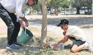 Belediyeye ağaç davası