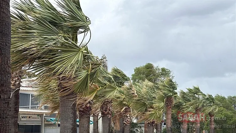 Bodrum’da fırtına etkili oldu: Tekneler suya gömüldü, ağaçlar devrildi