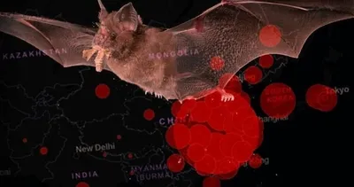 Son dakika: Şoke eden corona virüs uyarısı!