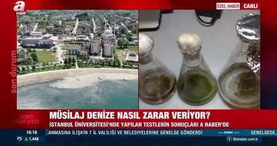 Müsilaj testlerinde şaşırtan sonuçlar! A Haber İstanbul Üniversitesi’ndeki test merkezinde... | Video