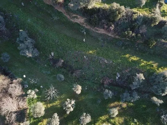 Kaybolan Alzheimer hastasını drone ile buldular