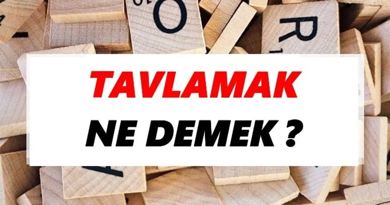 sera tokdemir bikini