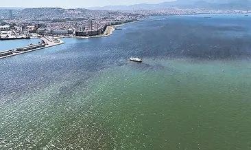 İzmir'deki balık ölümlerinden sonra gündeme geldi! Körfezi kurtaracak proje #izmir