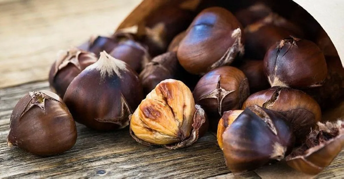kestanenin faydalari nelerdir kestane neye iyi gelir saglik haberleri