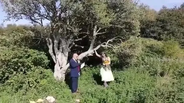 İngiltere'de bir kadın ağaç ile evlendi! Kadının soy ismine ağacın türü olan 'Elder' eklenecek