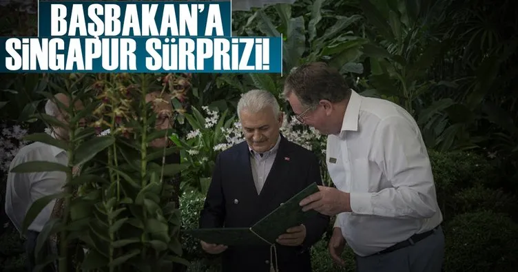 Başbakan’a orkide sürprizi