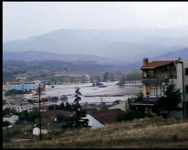 Kumbağ sular altında