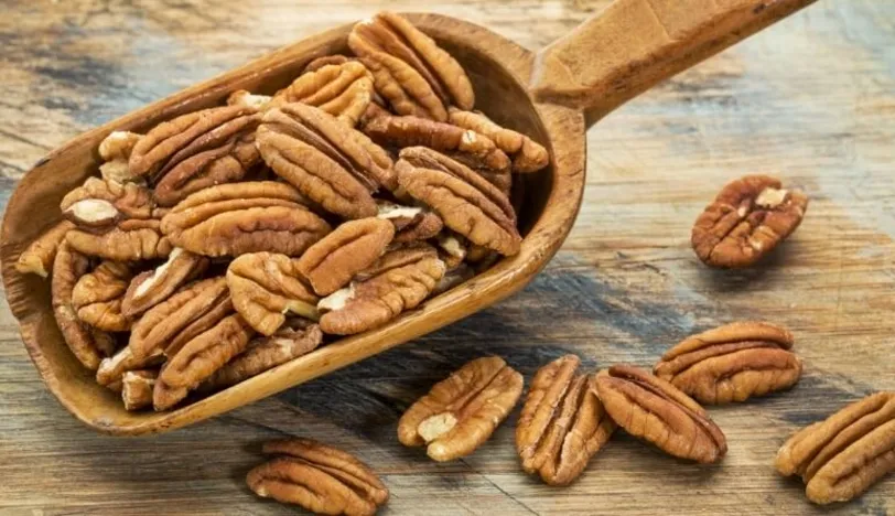 Pecan Cevizi