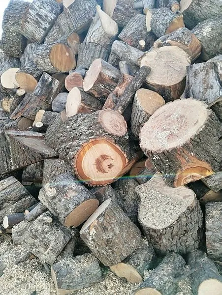 Yozgat'ta akıllara durgunluk veren olay: Kesilen ağacın içinden ay yıldız figürü çıktı