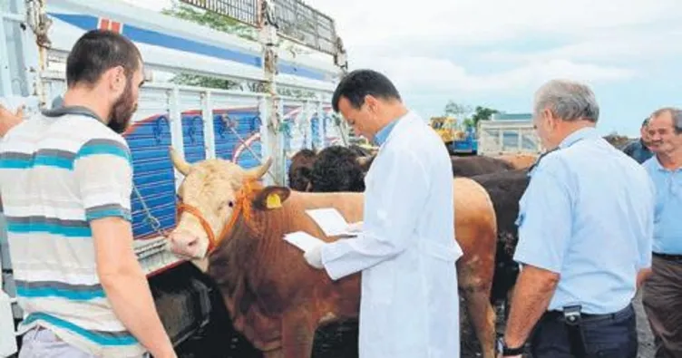 Hayvan pazarları sıkı denetlenmeli